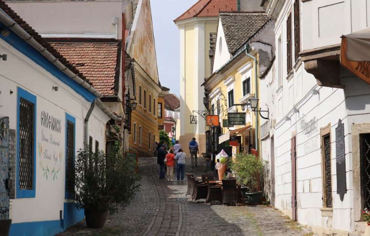 traditional old cobblestone street with pot plants and buildings