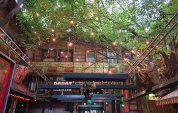 Open roof ruin bar with lights hanging from an overhanging tree.