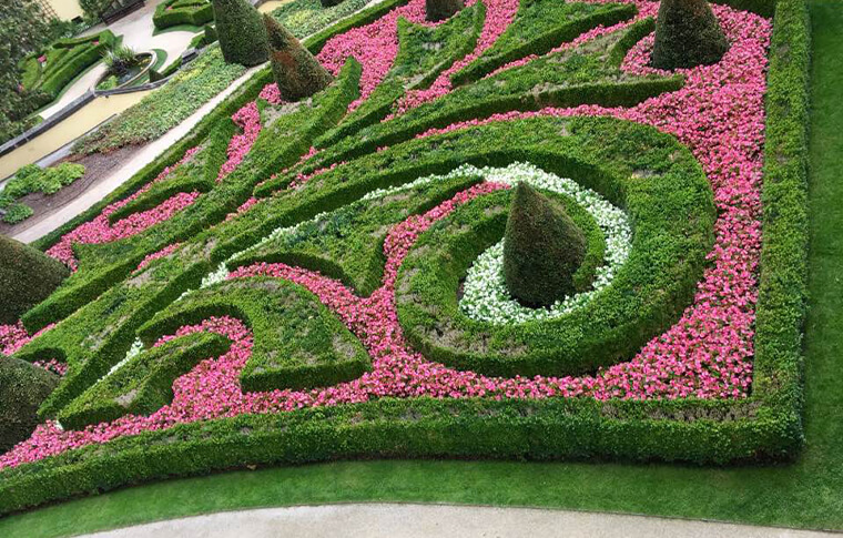 garden with hedges and pink flowers in curated pattern