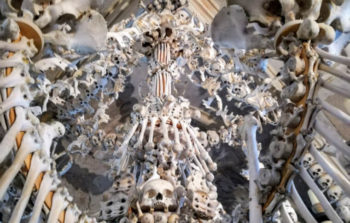 chandelier and eaves made from bones and skulls